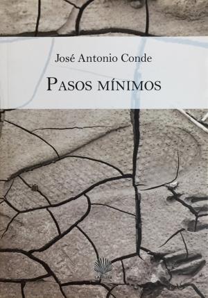 Pasos mínimos